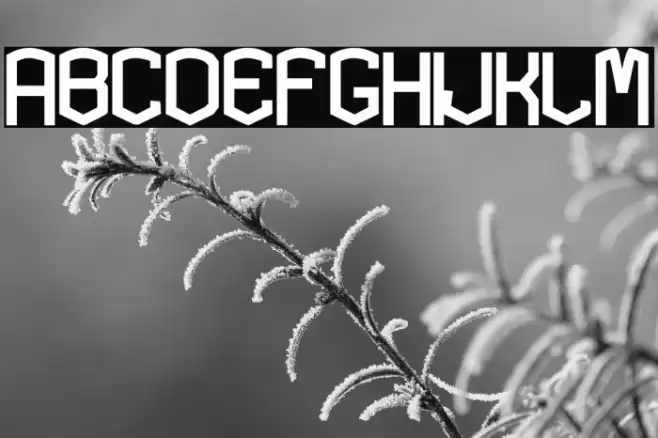 KARDONEXTRA-Bold Font examples