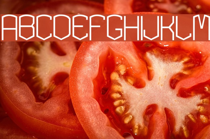 KARDONEXTRA Example 1