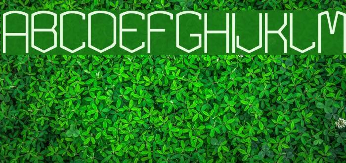 KARDONEXTRA Example 3