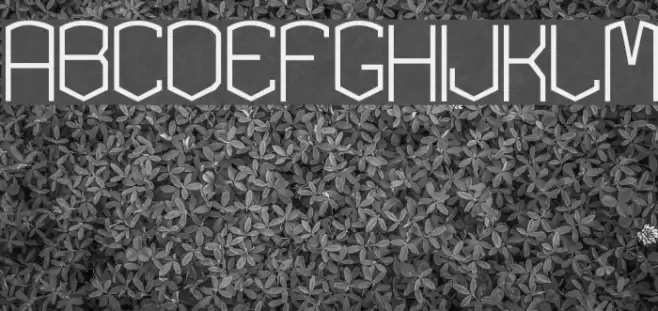 KARDONEXTRA Font examples