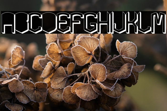 KARDONGROS Example 1