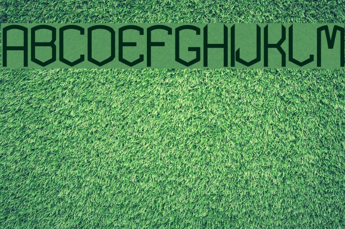 KARDONTYPE Font examples