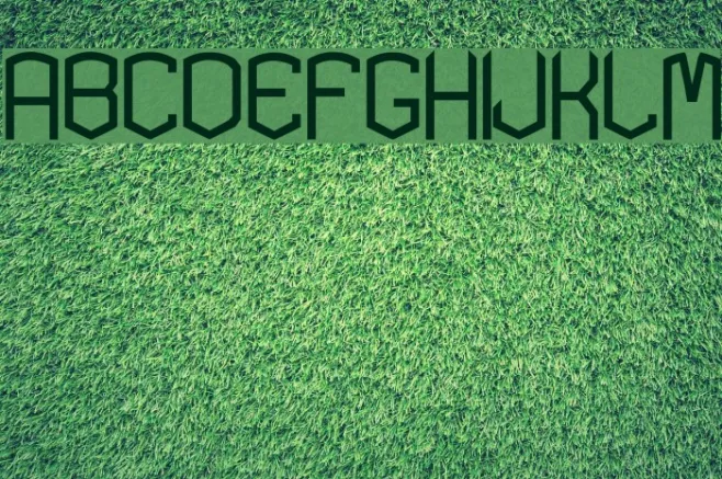 KARDONTYPE Example 1