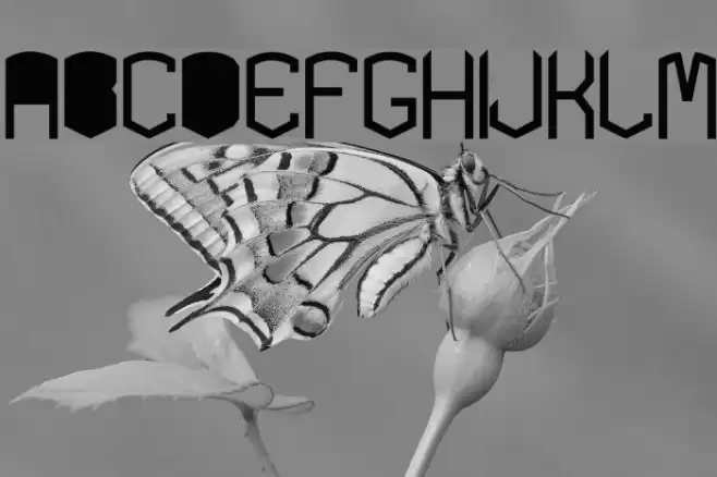 KARDONblackTYPE Font examples