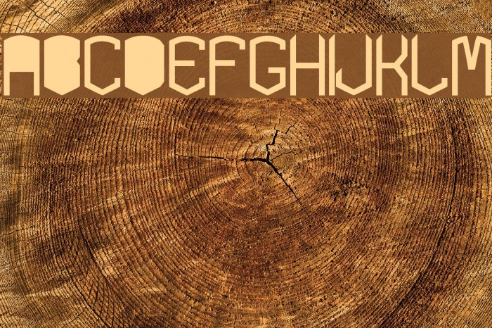 KARDONblackTYPE Example 3