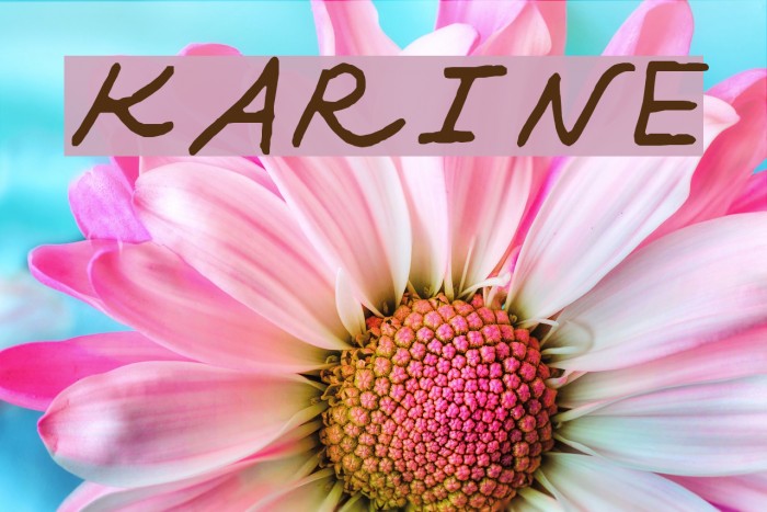 KARINE Font examples
