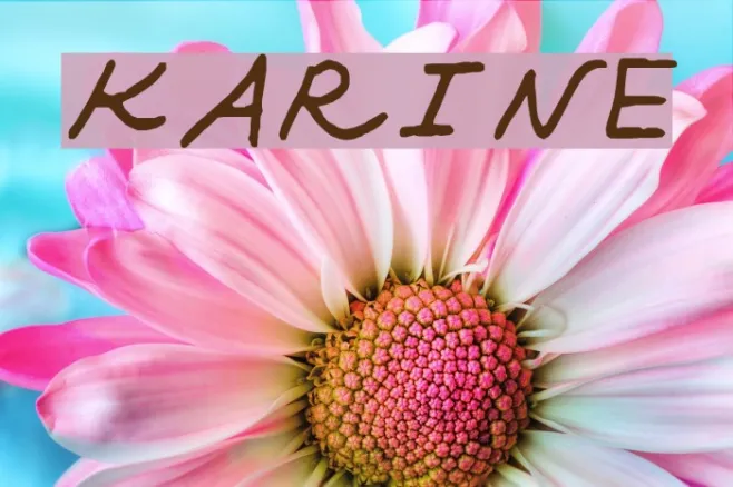 KARINE Example 1