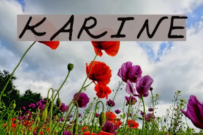 KARINE Example 3