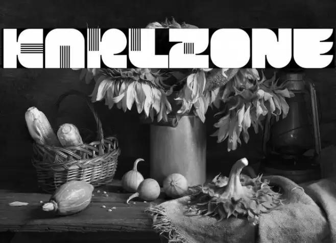 KARLZone Font examples