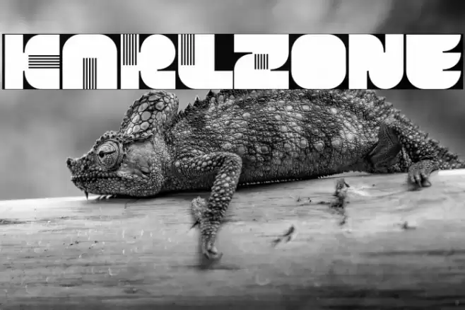 KARLZone Font examples