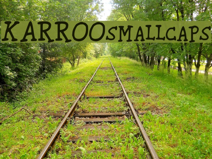 KARROOsmallcaps Font examples