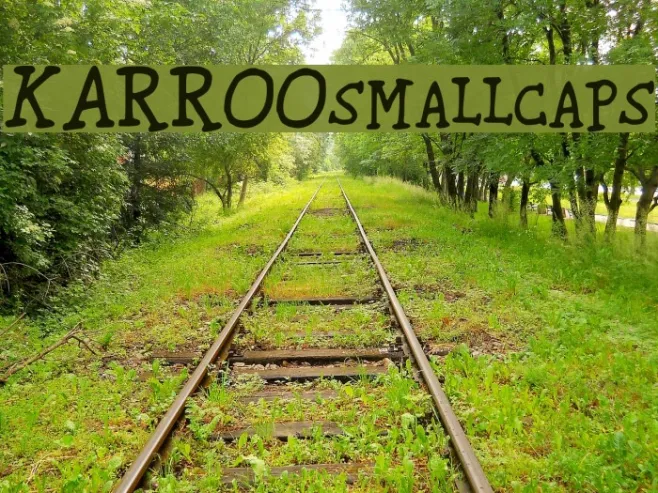 KARROOsmallcaps Example 1