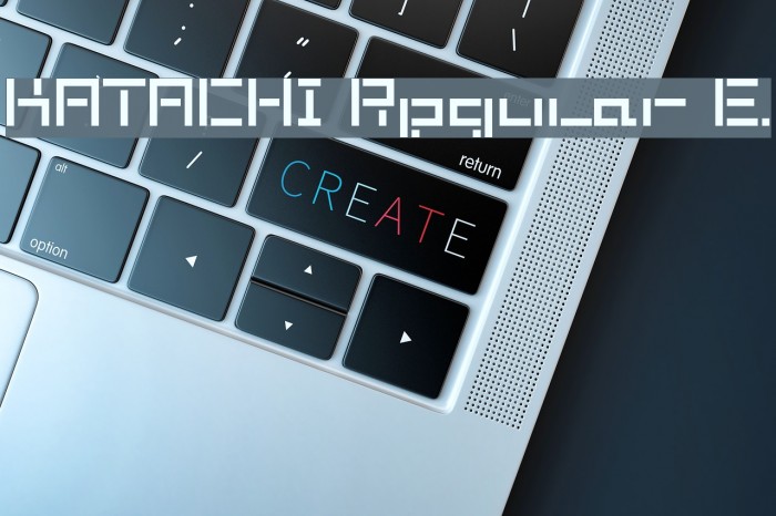 KATACHI Regular E. Font examples