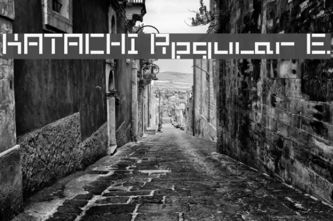 KATACHI Regular E. Font examples