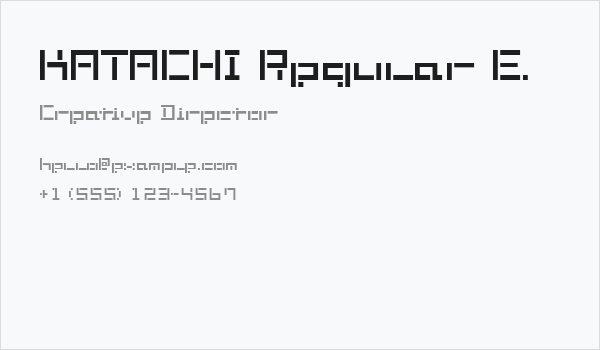 KATACHI Regular E. Business Card