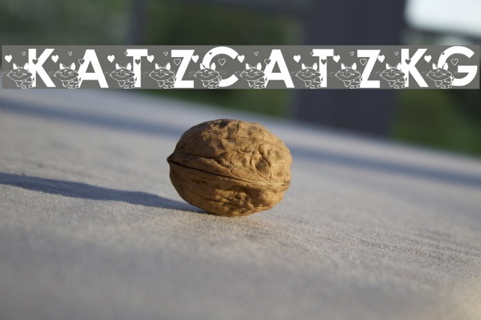 KATZCATZ_KG Font examples
