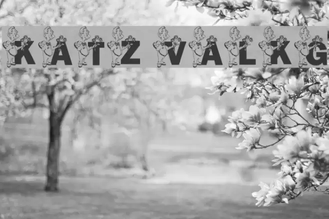 KATZVAL5_KG Font examples