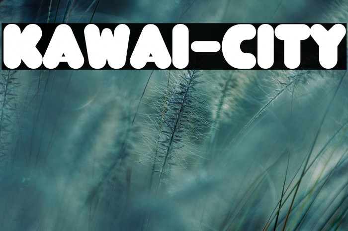 KAWAI-CITY Example 3