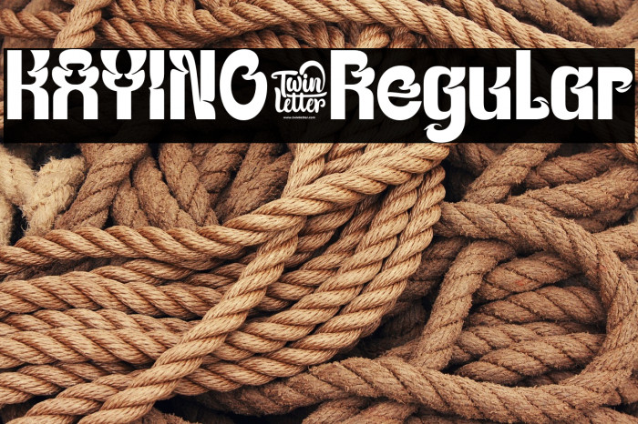 KAYINO-Regular Example 1