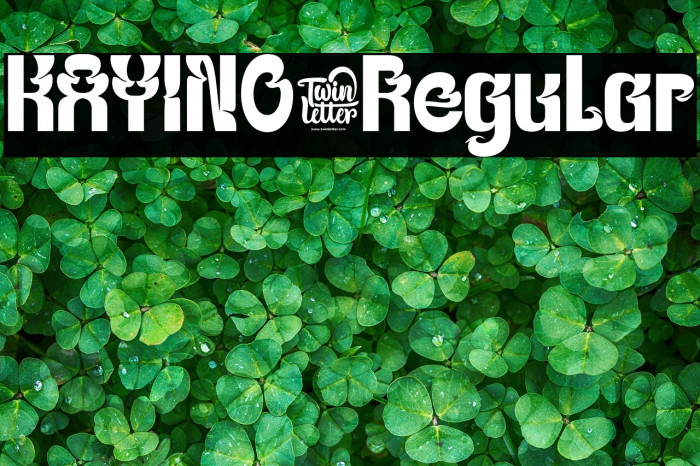 KAYINO-Regular Example 3