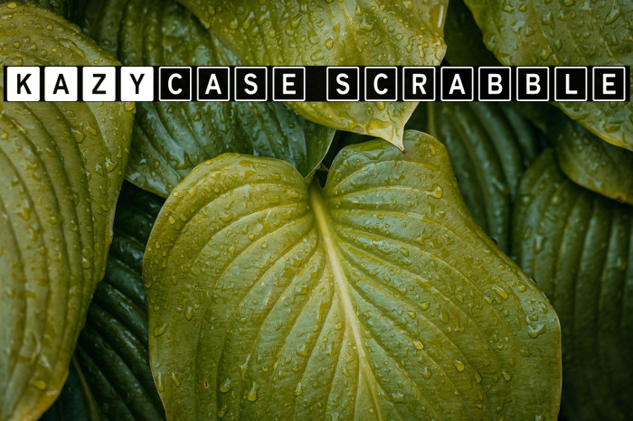 KAZYcase scrabble Example 1