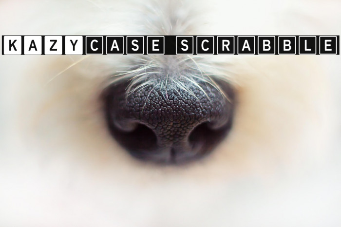 KAZYcase scrabble Example 2