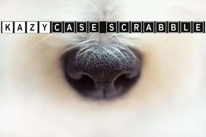 KAZYcase scrabble Example 2