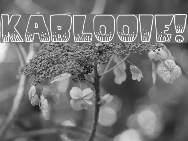 KaBlooie! Font examples