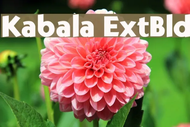 Kabala ExtBld Example 1