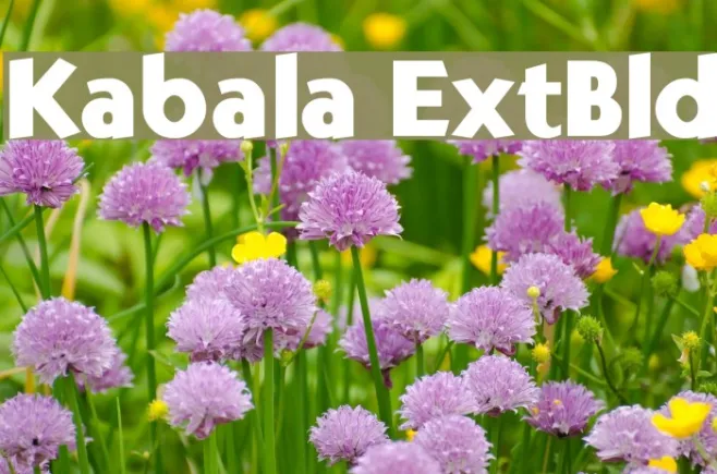 Kabala ExtBld Example 3