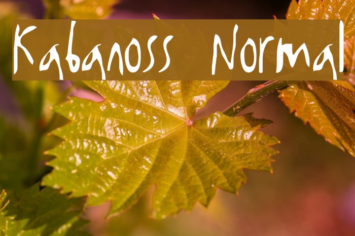 Kabanoss Normal Font examples
