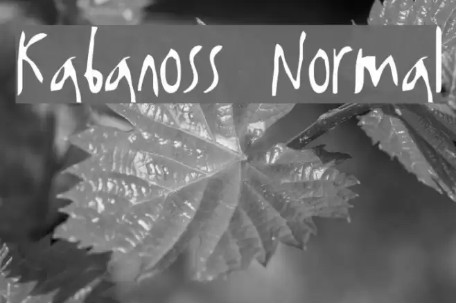 Kabanoss Normal Font examples