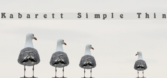 Kabarett Simple Thin Font examples