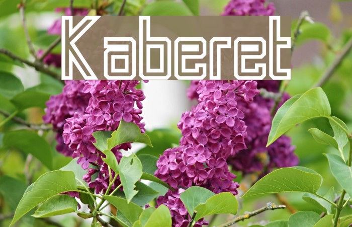 Kaberet Font examples