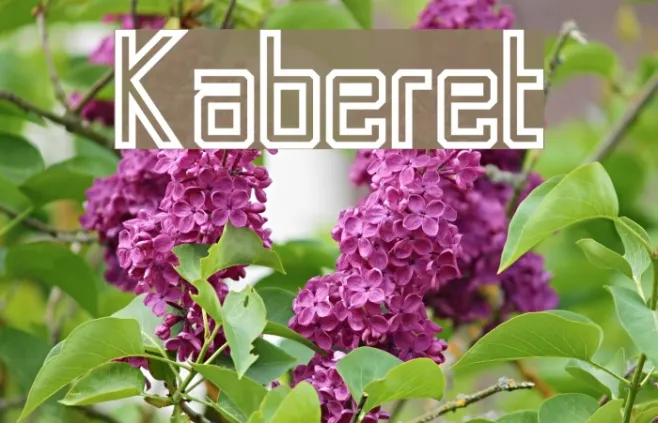 Kaberet Example 1