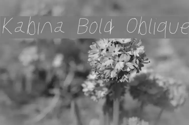 Kabina Bold Oblique Font examples
