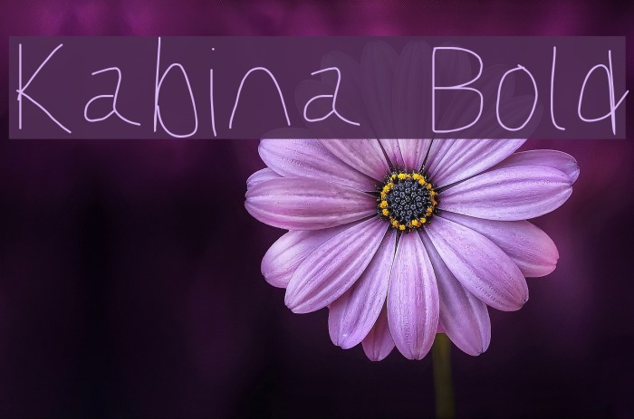 Kabina Bold Font examples
