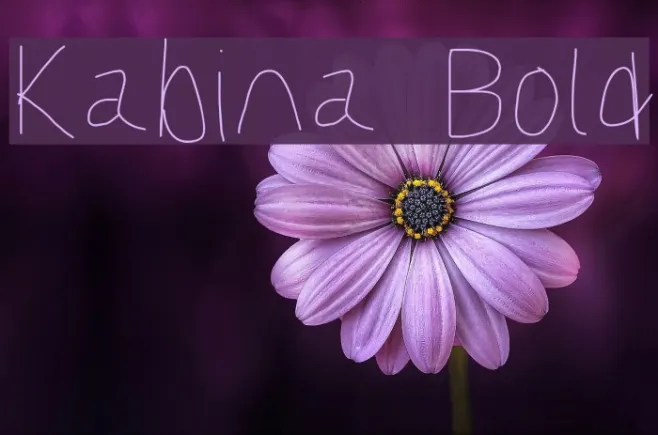 Kabina Bold Example 2