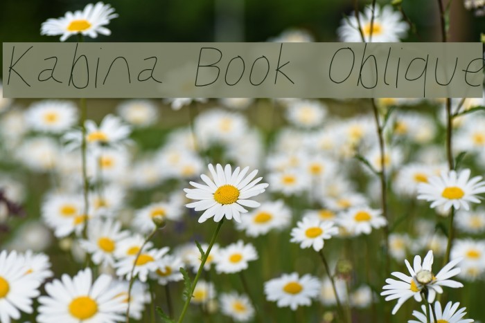 Kabina Book Oblique Example 1