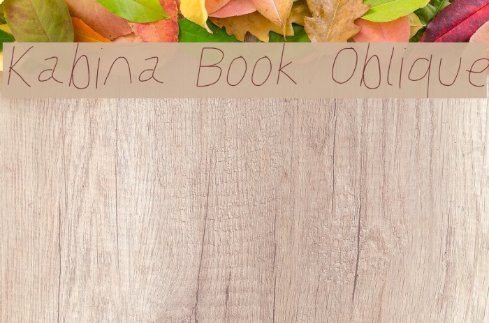 Kabina Book Oblique Example 2