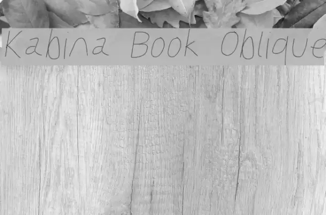 Kabina Book Oblique Font examples