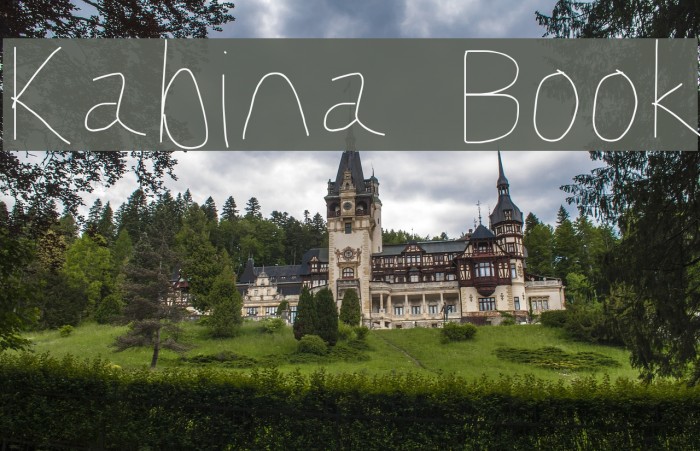 Kabina Book Font examples