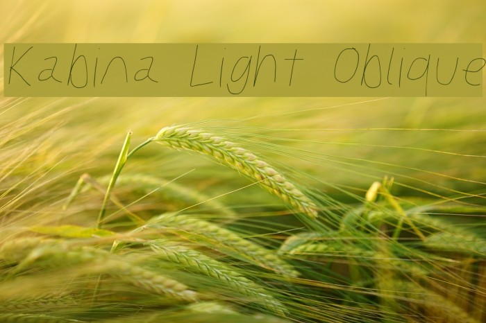Kabina Light Oblique Font examples