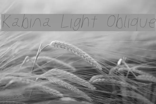 Kabina Light Oblique Polices examples