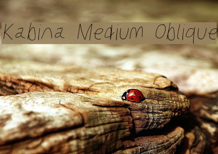 Kabina Medium Oblique Example 2