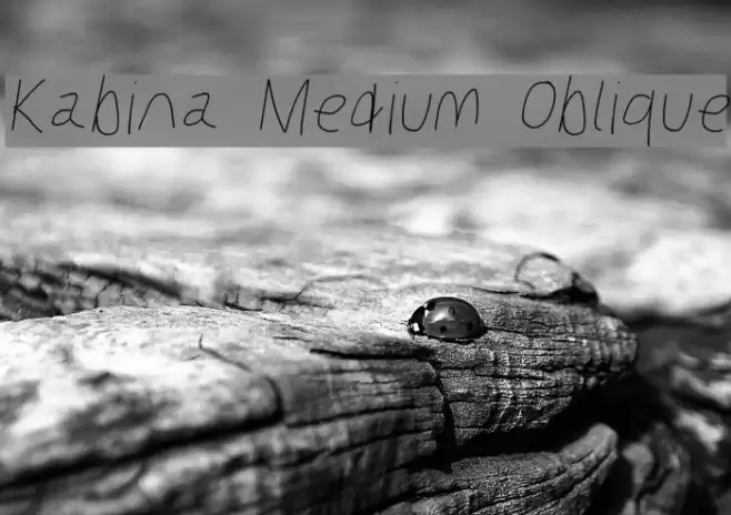 Kabina Medium Oblique Font examples