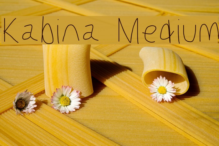 Kabina Medium Font examples