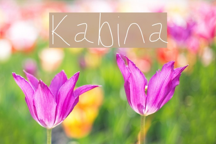 Kabina Font examples