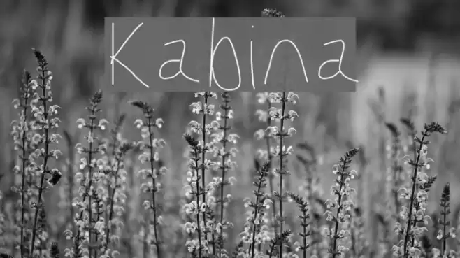 Kabina Font examples