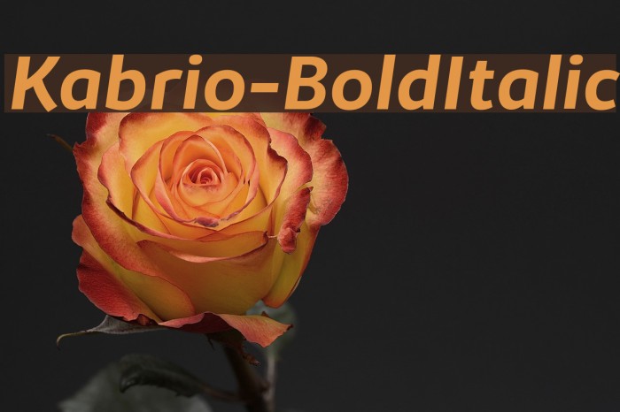 Kabrio-BoldItalic Font examples